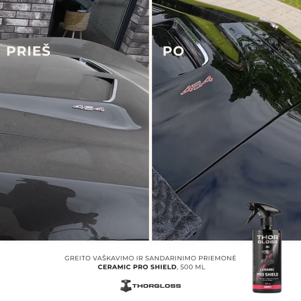 Thorgloss ELITE CARE 1 Thorgloss ELITE CARE 1